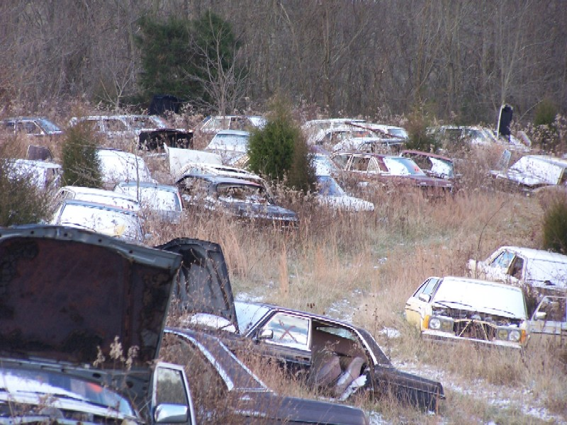 Illustration for article titled Over 1,000 Vintage Mercedes-Benzes Await The Cruel Jaws Of The Crusher In Kentucky
